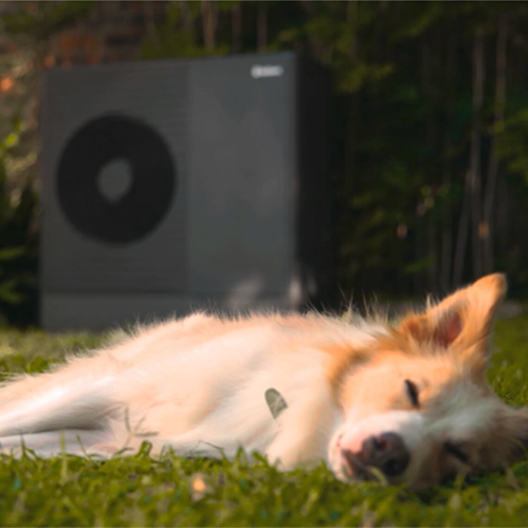 En hund, der sover foran en varmepumpe