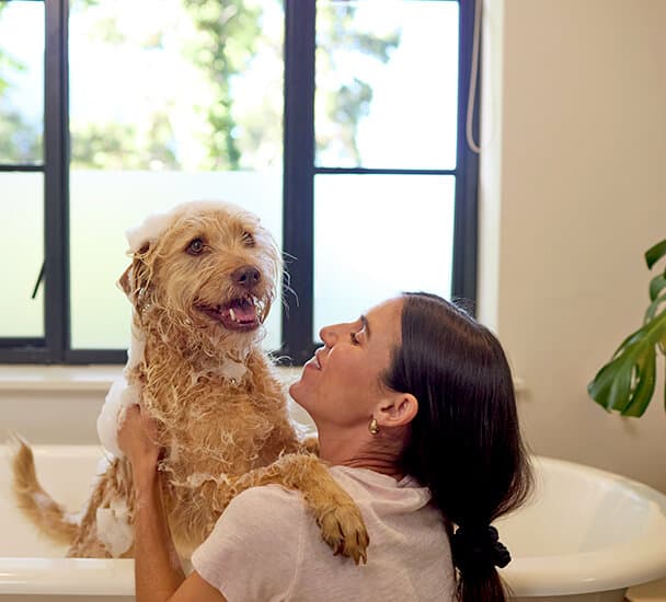 En kvinde bader en hund