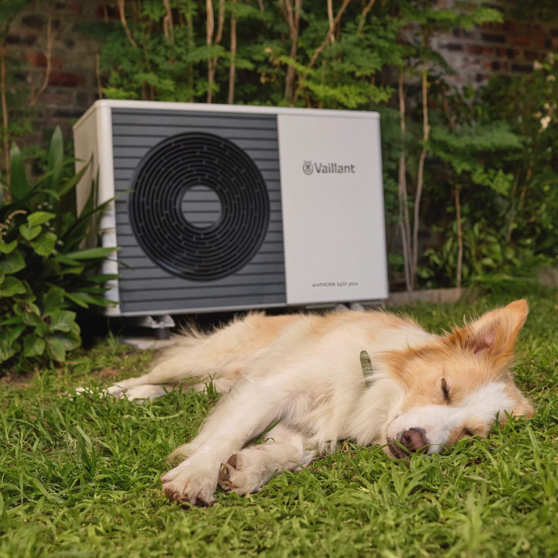Hund sover foran varmepumpen