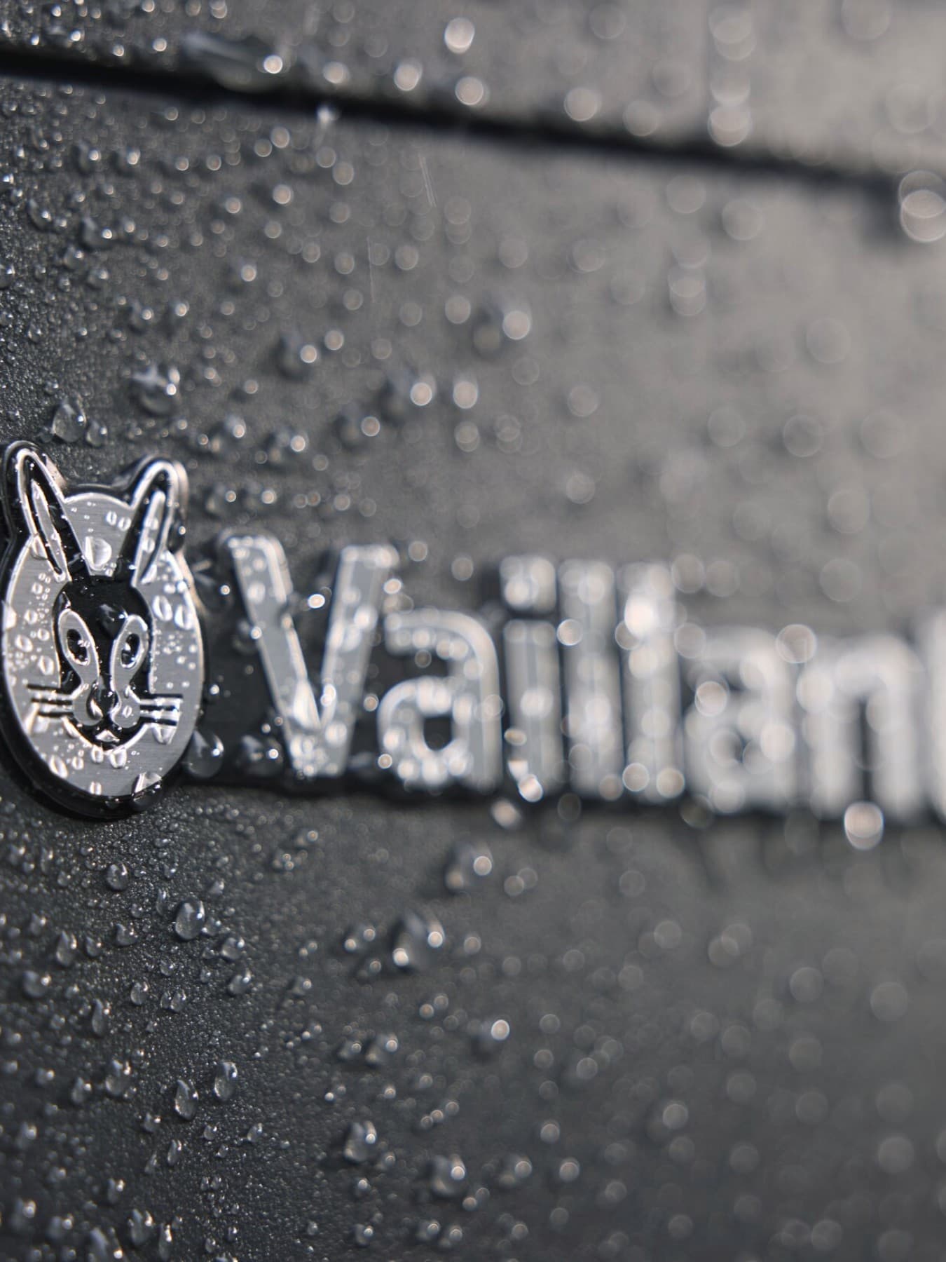 Vaillant varmepumpe
