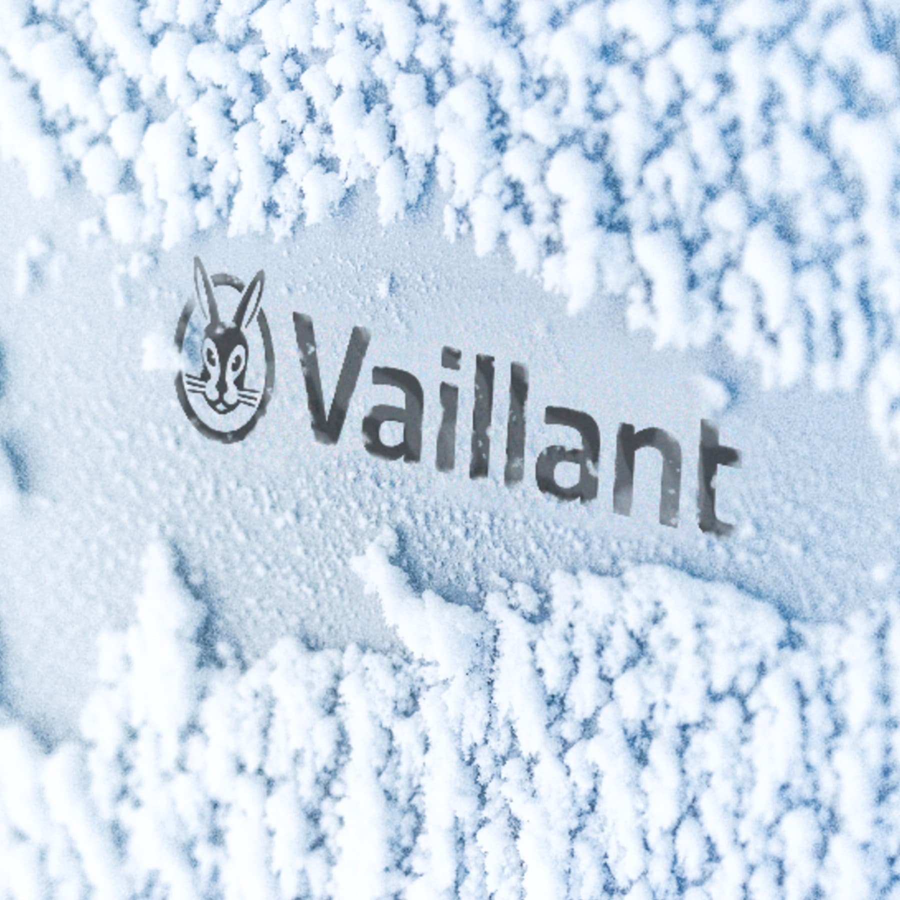 Vaillant-logo på en snedækket varmepumpe