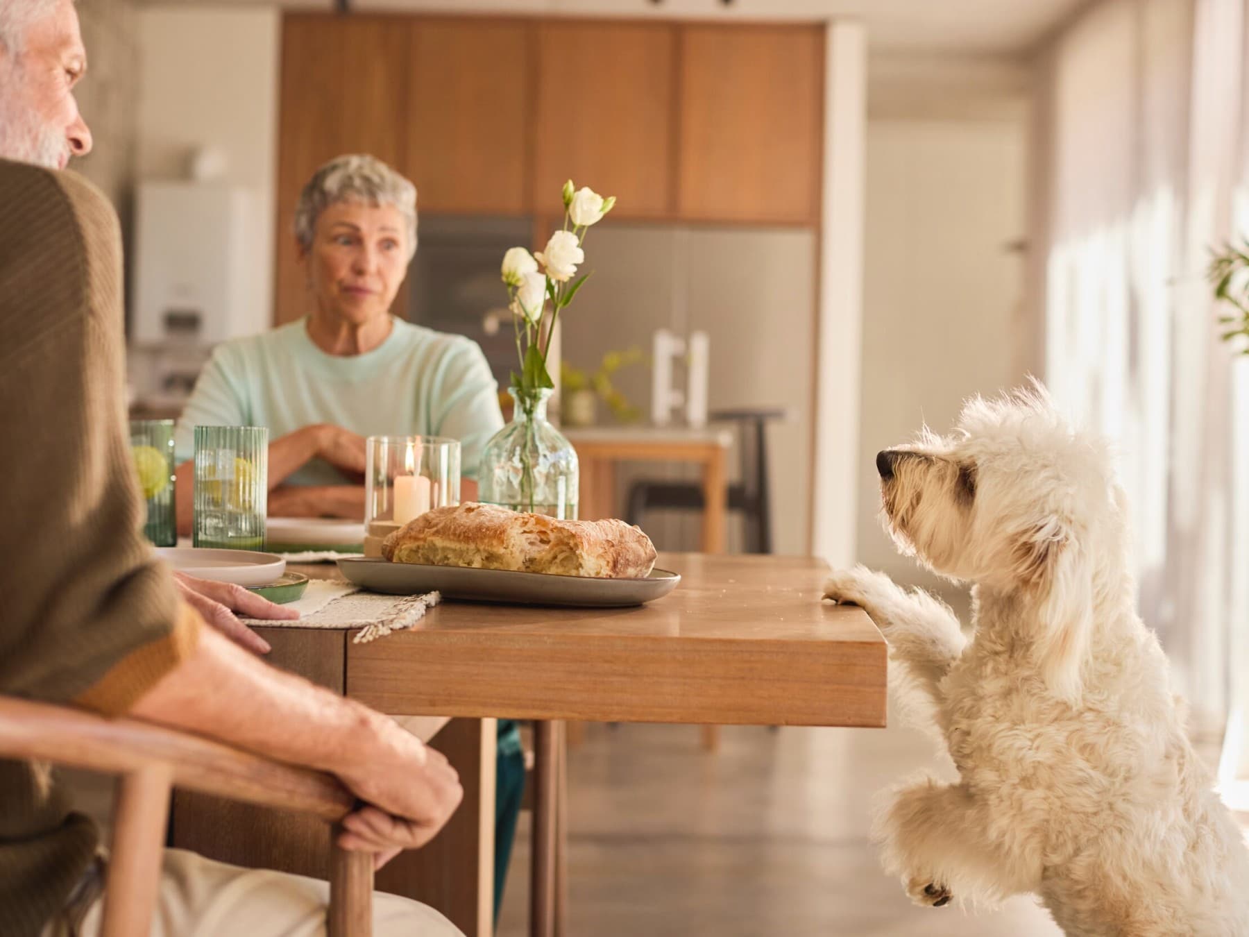 Par spiser morgenmad, mens en hund kigger på bordet