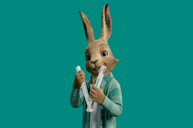 Vaillant Partner