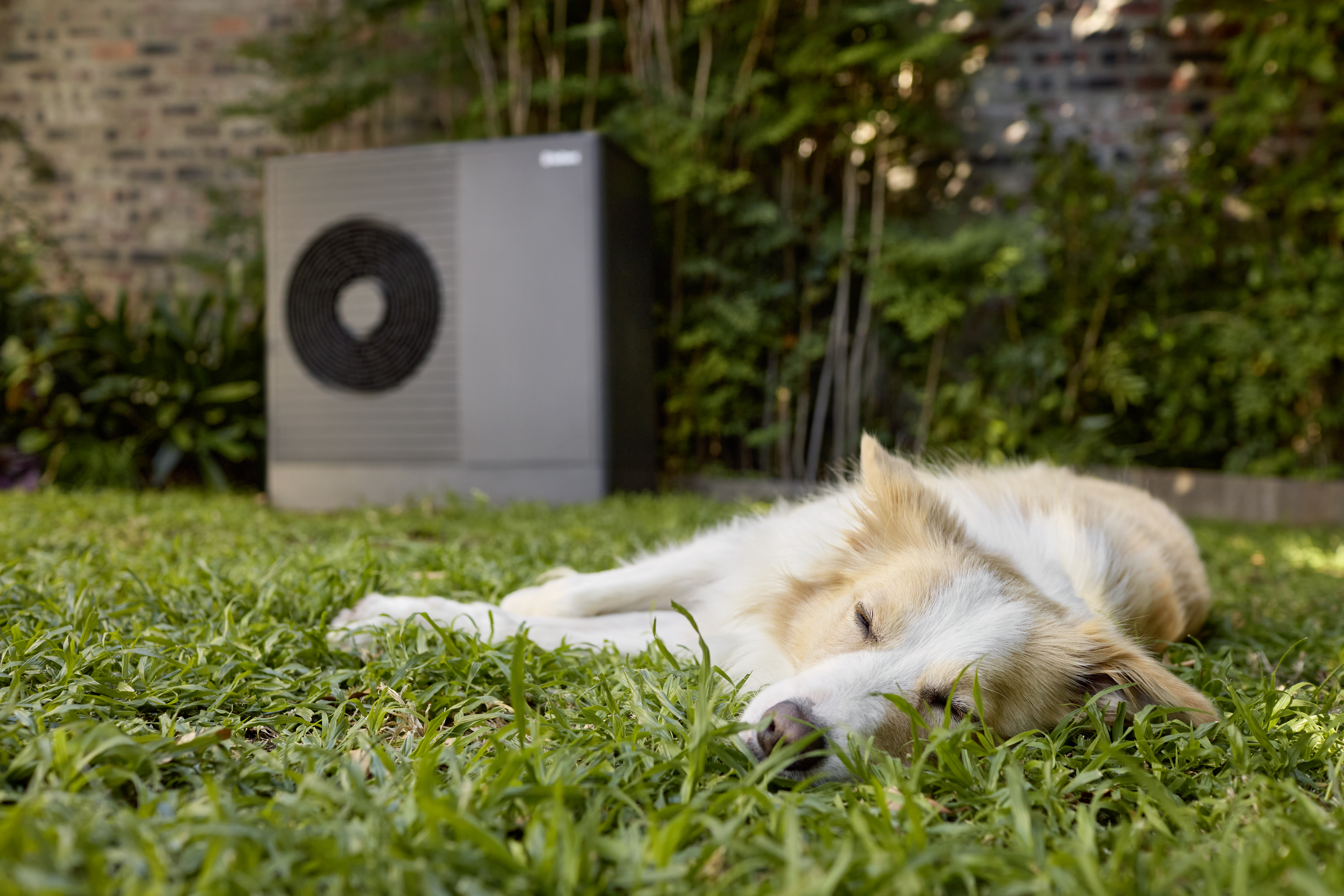 aroTHERM plus
