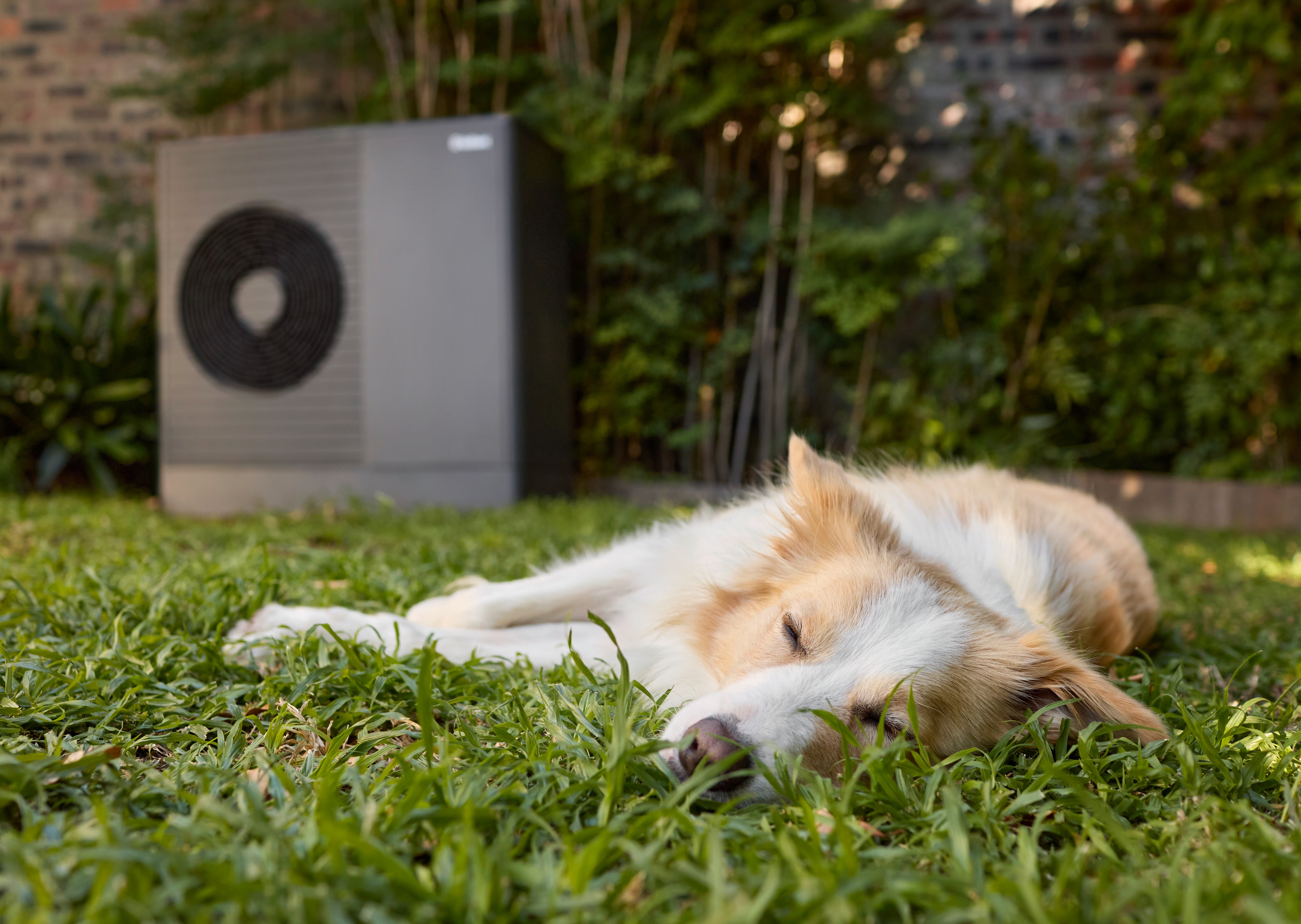 aroTHERM plus